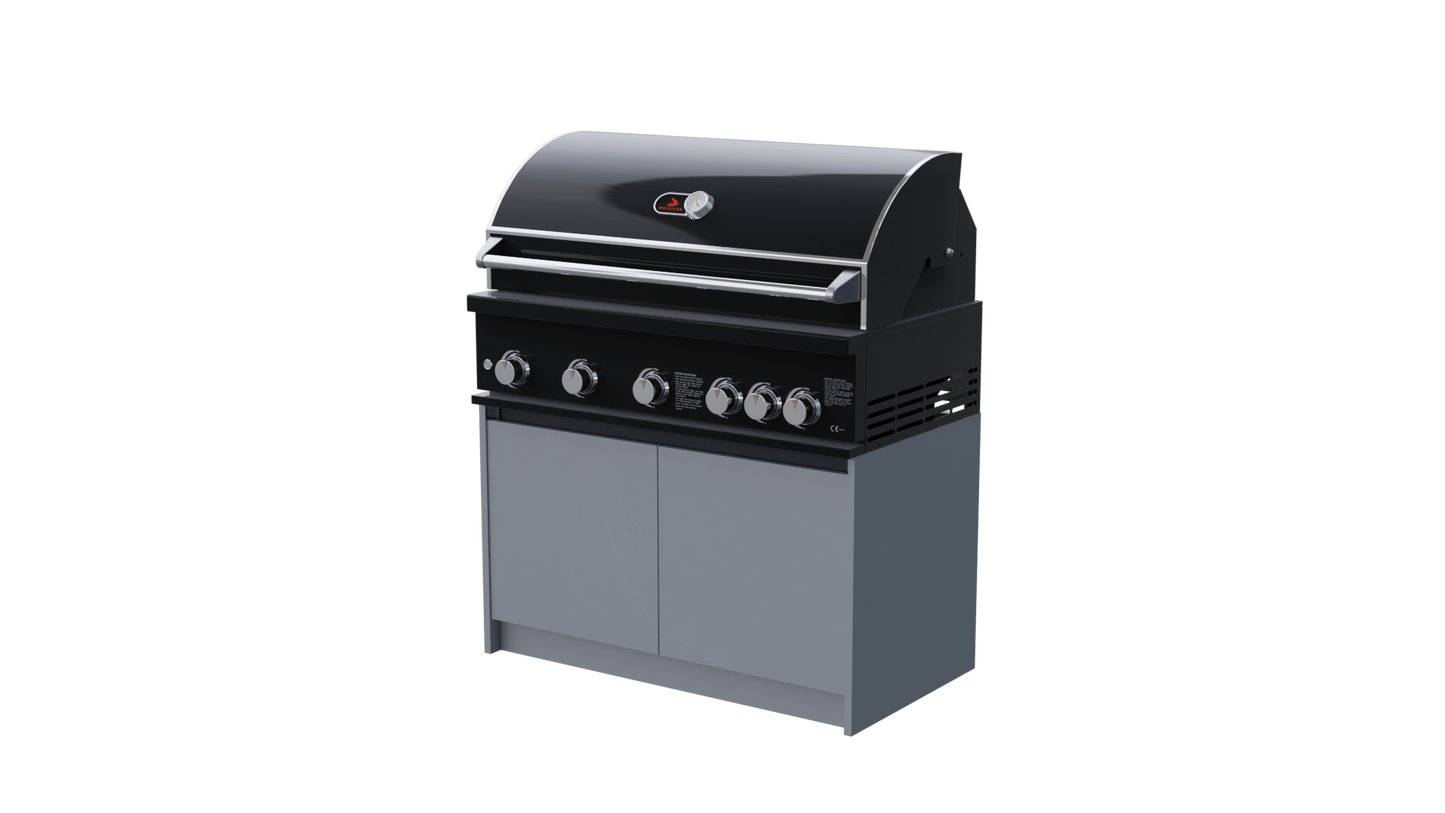 Whistler Fairford BBQ and Grill Unit.