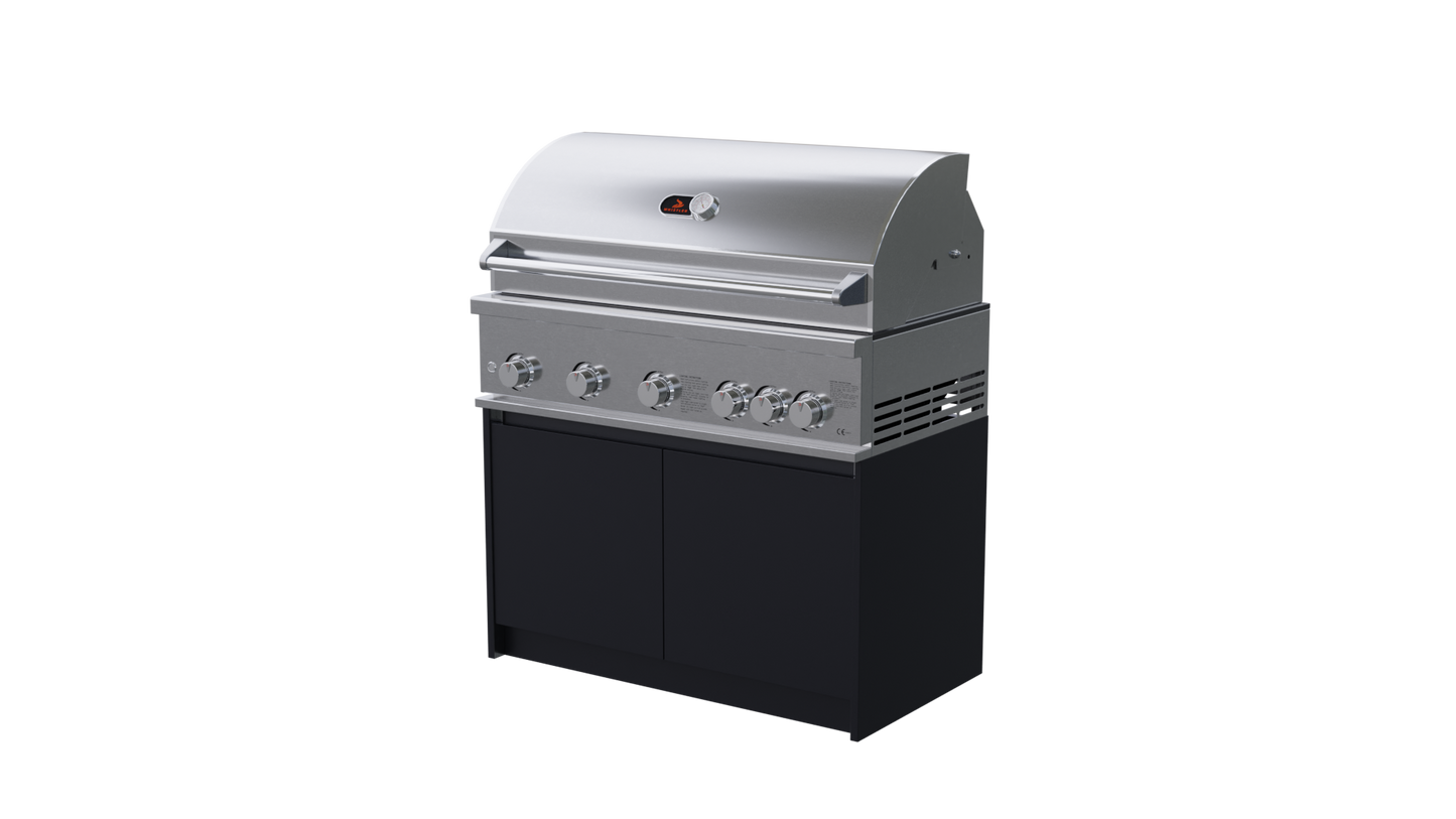 Whistler Fairford BBQ and Grill Unit.