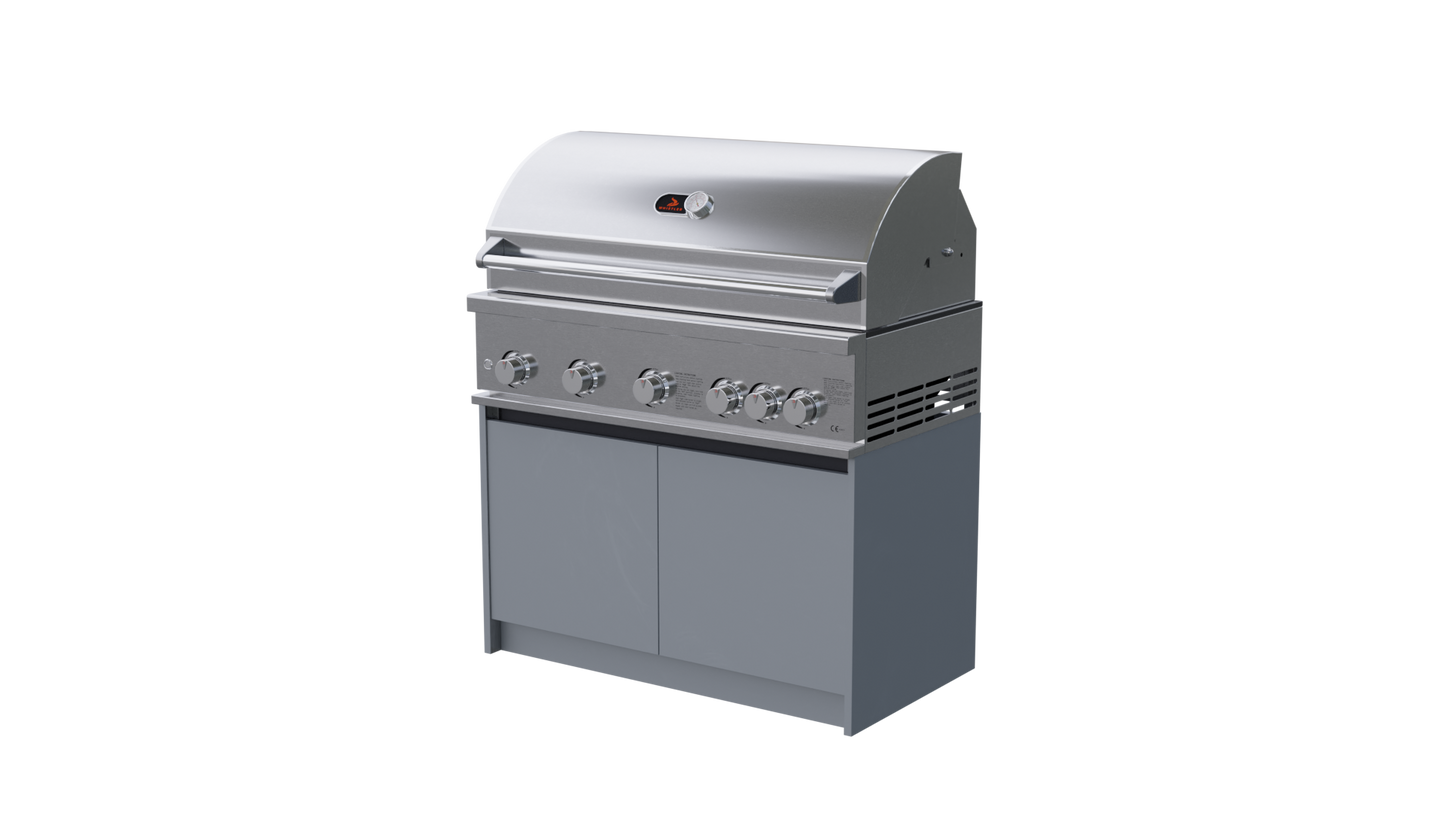 Whistler Fairford BBQ and Grill Unit.
