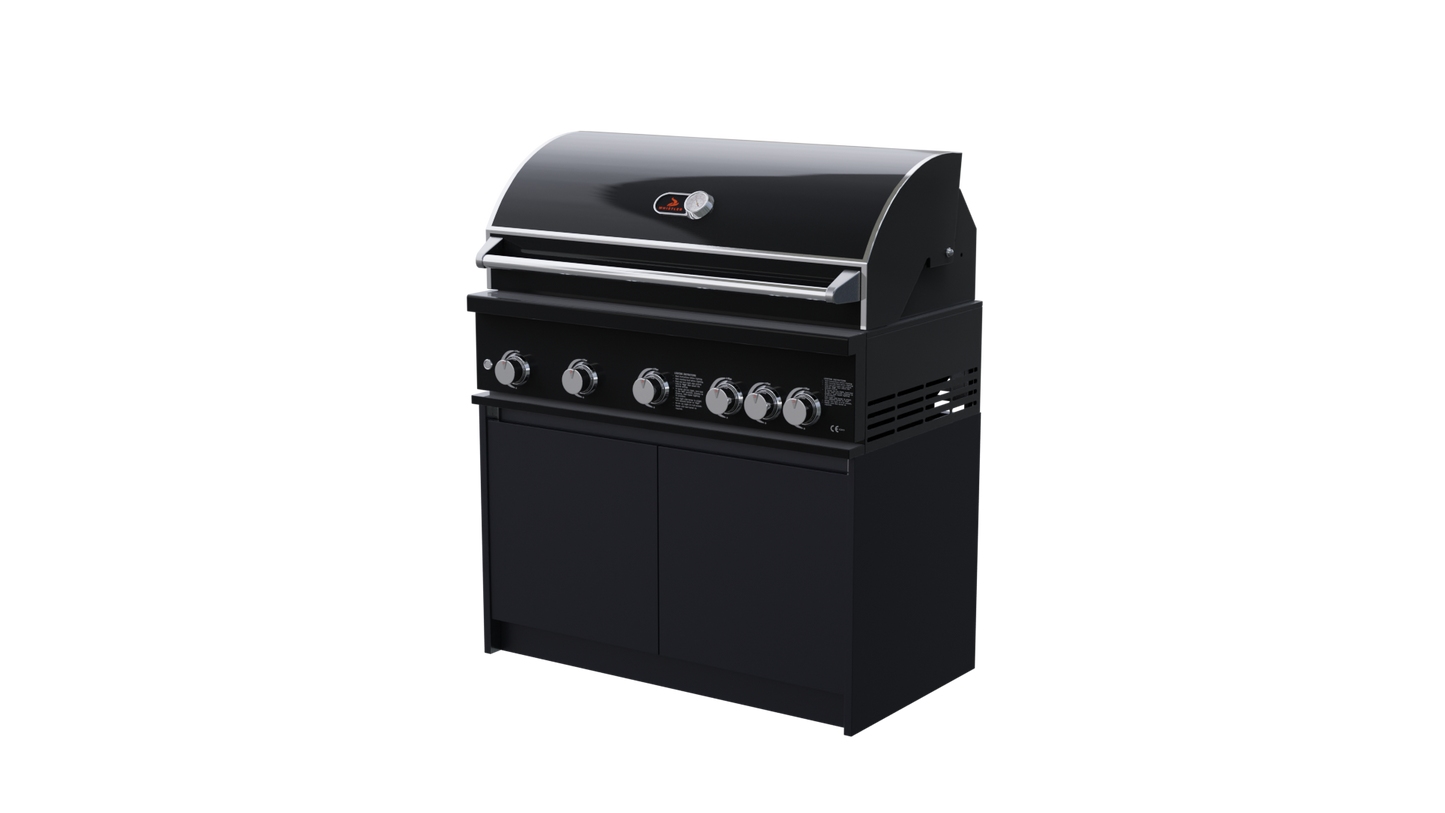 Whistler Fairford BBQ and Grill Unit.